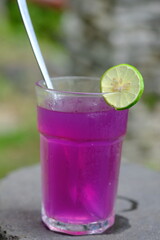 Kombucha Bunga Telang. is a fermented drink made from butterfly pea flowers, water, and sugar....