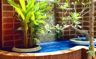 Landscape design of home tropical garden. Beautiful landscaping with small pond and waterfall in...