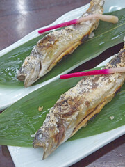 Japanese shioyaki aji salt-Grilled ayu sweetfish on bamboo leaves decorated with hajikami pickled ginger sprouts