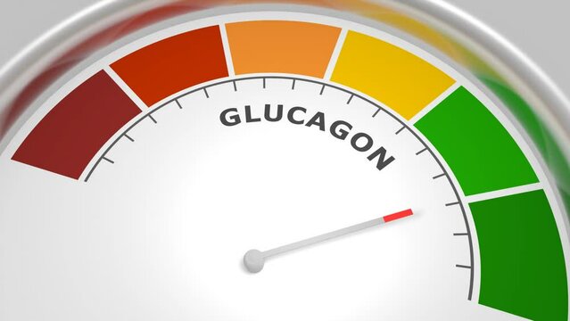 Glucagon peptide hormone level on measure scale. Instrument scale with arrow. Colorful infographic gauge element. Glucagon is produced in the pancreas and has the opposite effect of insulin.