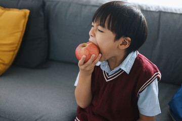 Asian kid boy eating apple fruit. Healthy school breakfast for child.