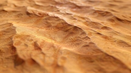 A detailed close-up view of a piece of wood, showcasing its texture, grains, and natural colors. The wood appears weathered and has visible cracks and knots.