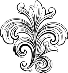 Vintage baroque ornament drawing