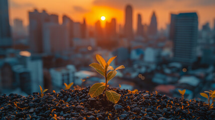 Financial Growth, Plant on pile coins with cityscape background. - obrazy, fototapety, plakaty