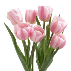 A stunning bunch of pink tulips stands out against a crisp transparent background set against a transparent background