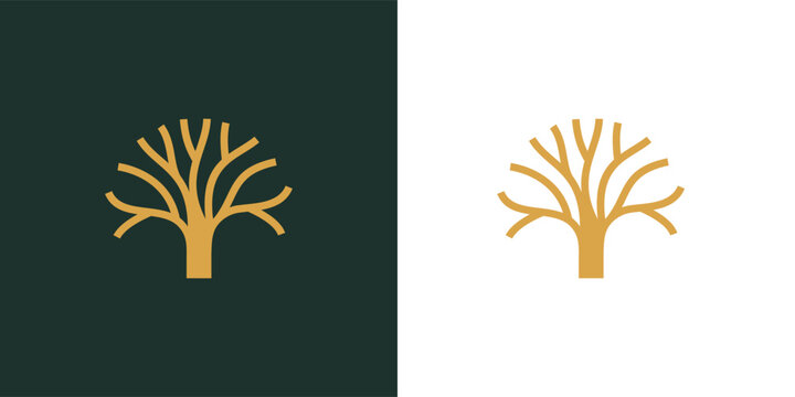 Trunk of tree logo design Inspiration