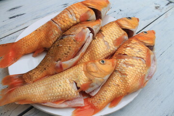 5 raw red gold fish in a white plate on the table

