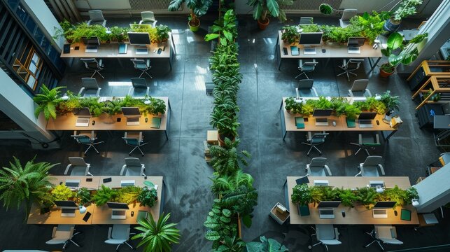 Overhead view of an office space with desks and various plants creating a green and productive work environment