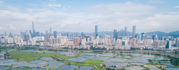 Aerial view of rural green fields with fish ponds on Hong Kong and the skylines of Shenzhen