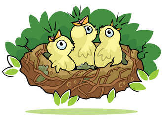 bird nest vector illustration