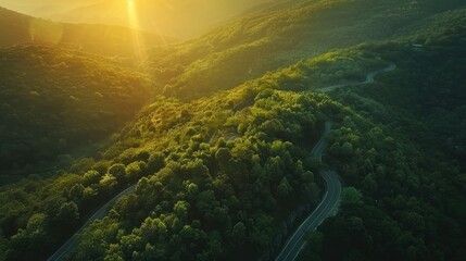 Aerial top view, mountaint road in dark green forest with sunlight sunset --ar 16:9 Job ID: f4040876-e245-4925-9568-49f568e742fe
