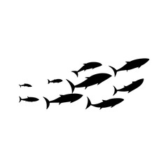 School tuna fish swims