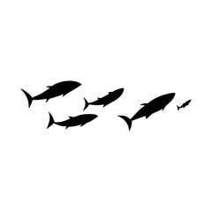 School tuna fish swims