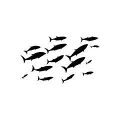 School tuna fish swims