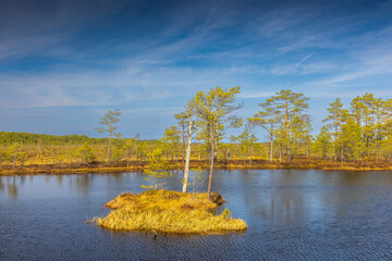 Viru Bog Viru Raba peat swamp, Estonia