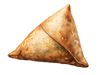 Tasty samosa