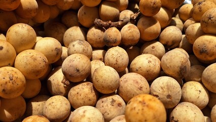 Duku fruit, also known as Lansium domesticum, is a fruit originating from Southeast Asia.