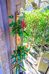 山門に生けられた美しい生け花。
Beautiful ikebana arrangement at the temple...