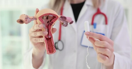 Gynecologist explains insertion of a tampon and its effects on the uterus and vagina
