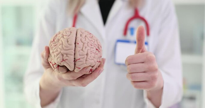 3D model of the human brain and a doctor's thumbs up