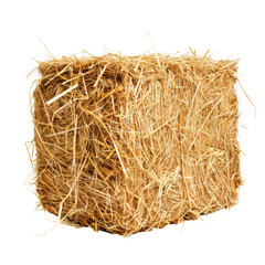 A dried hay or fodder texture isolated on transparent background
