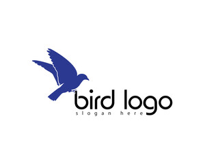 Obraz premium creative bird shadow logo design template