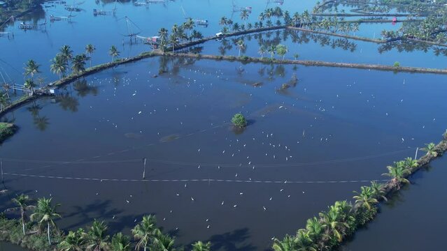 Kadamakudy village  is the most beautiful place in Ernakulam district kerala 