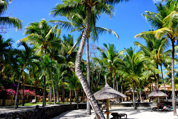 Grand Bay, Grand-Baie, Rivière du Rempart District, Mascarene Islands, Mauritius, Mascarene...