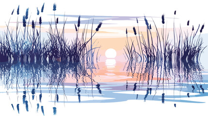 Reeds on the shore of the lake at sunset. Plants are