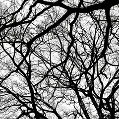 The image is a black and white photo of tree branches