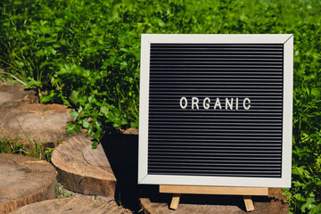 ORGANIC message on background of fresh eco-friendly bio grown green herb parsley in garden....