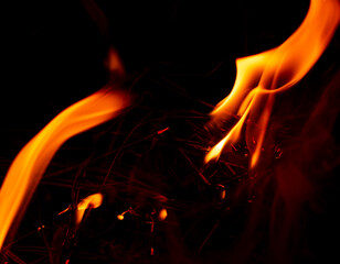 fire flames on burning grass on black background