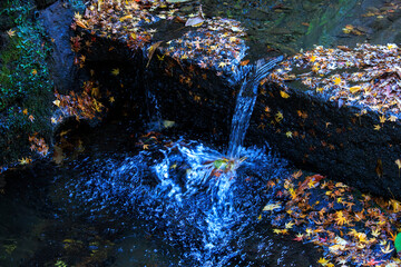 紅葉の浮かぶせせらぎ。
Floating streams of autumn...