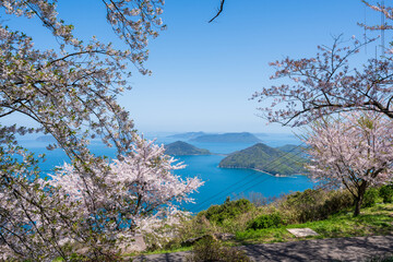 Mt. Shiude (Shiudeyama) mountaintop cherry blossoms full bloom in the spring. Shonai Peninsula,...