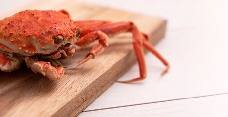 crab on the cutting board. female snow crab....