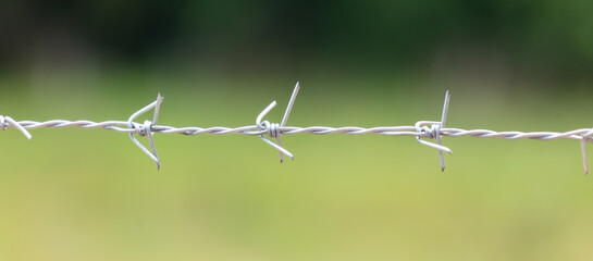 Barbed wire in nature as a background