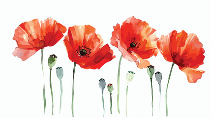 Watercolor painting red poppy flowers. Creative floral - obrazy, fototapety, plakaty