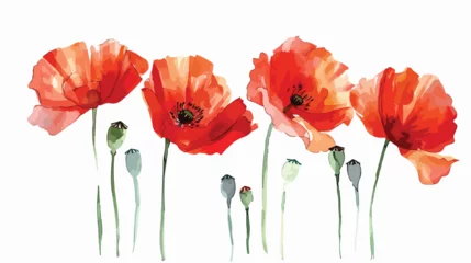 Foto op Plexiglas Watercolor painting red poppy flowers. Creative floral © Nobel
