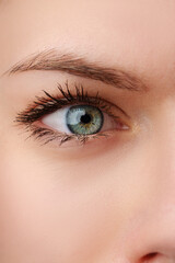 Obraz premium Close up of young female blue eye