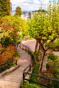 Lombard Street is an east–west street in San Francisco, California (USA), famous for a steep section with eight hairpin turns. Idyllic attraction with houses, gardens, pedestrian walkway and stairs.