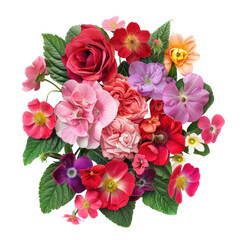 A variety of vibrant flowers such as roses periwinkles primroses in shades of red and pink along with colorful primula vulgaris are in full bloom in a charming bouquet set against a white ba