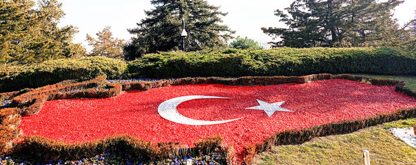 Turkish National Flag as an arrangement of white and red carnation flowers