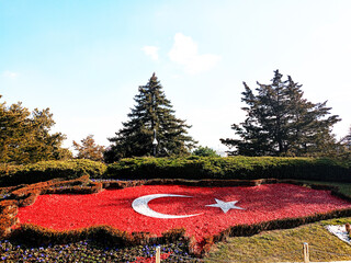 Turkish National Flag as an arrangement of white and red carnation flowers