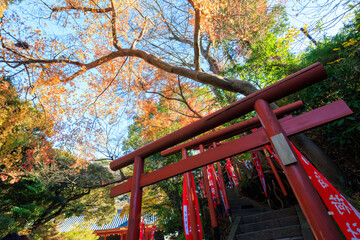 丸山稲荷社の鳥居。
Torii gate of Maruyama Inari...