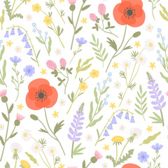 Wild field flowers vector pattern. Cute floral seamless texture with chamomile, poppy, lupin, clover on white background. Meadow plants