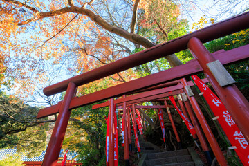 丸山稲荷社の鳥居。
Torii gate of Maruyama Inari...