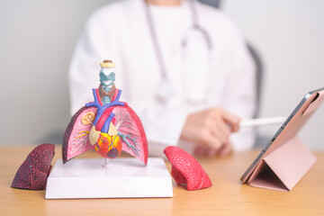 Doctor with heart Cardiovascular and Respiratory anatomy for Disease. Lung Cancer, Asthma, Chronic...