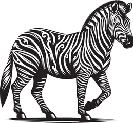 zebra illustration
