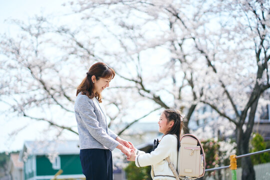 桜の咲く公園で手を繋いで見つめ合う日本の母と娘
