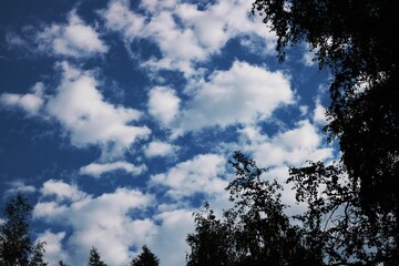 Obraz premium clouds and sky